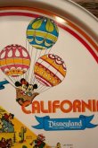 画像2: ct-240301-08 Disneyland / 1970's Serving Tin Tray