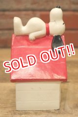 画像: ct-240321-05 Snoopy / Determined 1970's Coin Bank "Snoopy House"