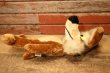 画像5: ct-240508-04 Wile E. Coyote / MIGHTY STAR 1987 Plush Doll