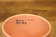 画像7: ct-240214-57 PLANTERS / MR.PEANUT 1950's Plastic Mug (Pink)