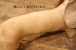 画像8: ct-240311-11 1950's College Mascot Dachshund Doll "D"