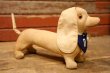 画像4: ct-240311-11 1950's College Mascot Dachshund Doll "D"