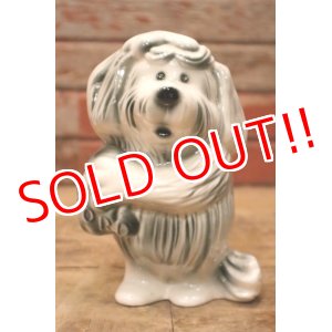 画像: ct-240604-07 FORD / 1950's-1960's SHAGGY DOG COIN BANK