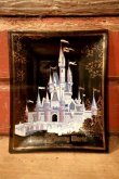 画像1: ct-240814-30 Walt Disney World / 1970's Souvenir Glass Tray