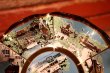 画像5: ct-240814-29 Walt Disney World / The Magic Kingdom 1970's Souvenir Glass Tray