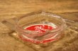 画像3: dp-241106-74 Nordale Hotel / Vintage Ashtray