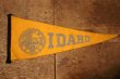 画像1: dp-241106-29 UNIVERSITY OF IDAHO /  Vintage Mini Pennant