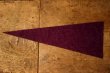 画像4: dp-241106-29 UNIVERSITY OF WASHINGTON /  Vintage Mini Pennant