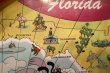 画像5: ct-241225-05 Walt Disney World / 1970's-1980's Tin Tray