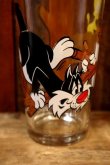 画像3: gs-250205-12 Sylvester & Tweety / PEPSI 1976 Collector Series Glass (プリントロスあり)