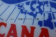 画像5: dp-250205-17 CANADA DRY Late 1980's-1990's Plastic Sign