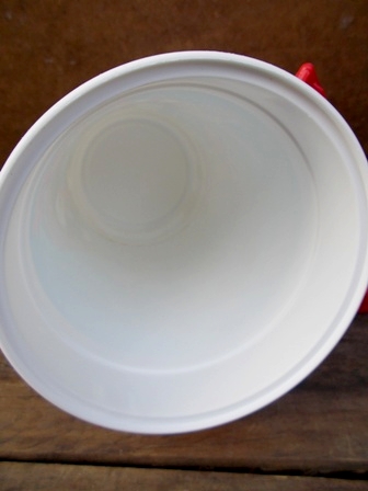 画像: ct-121107-10 EPCOT / Plastic Bucket